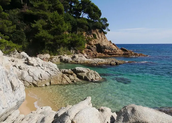 Nexthome Center & Pool Lloret de Mar